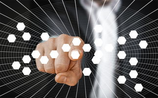 乐鱼体育平台官网-篮球专项技能动作视频资源开发及教学应用，篮球训练技能动作